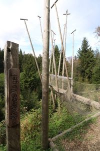 Naturmythenpfad Harz