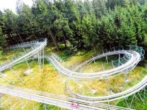 Sommerrodelbahn erlebnis bocksberg